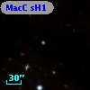 MacC sH1