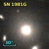 SN 1981G