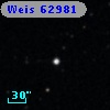Weis 62981