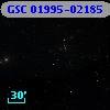 GSC 01995-02185