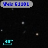 Weis 61101