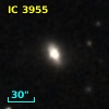 IC 3955