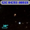 GSC 04293-00919