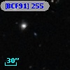 [BCF91]  255