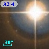 A2 445