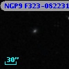 NGP9 F323-0822313