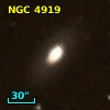 NGC  4919