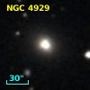 NGC  4929