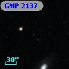 GMP 2137