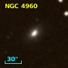 NGC  4960