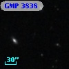 GMP 3838