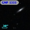 GMP 1333