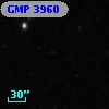 GMP 3960