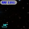 RRF 1181