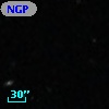 NGPFG 16386
