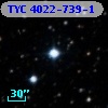 TYC 4022-739-1