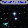 TYC 4022-1000-1