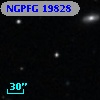 NGPFG 19828