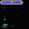 NGPFG 19909