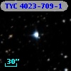 TYC 4023-709-1