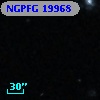 NGPFG 19968