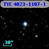 TYC 4023-1107-1
