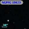 NGPFG 19823