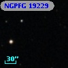 NGPFG 19229