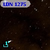 LDN 1275