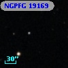 NGPFG 19169