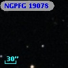 NGPFG 19078