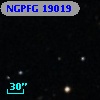 NGPFG 19019