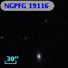 NGPFG 19116