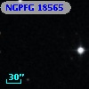 NGPFG 18565