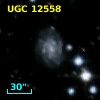 UGC 12558