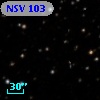 NSV   103