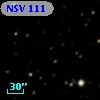 NSV   111