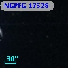 NGPFG 17528