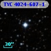 TYC 4024-607-1