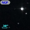 NGPFG 17391