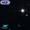 NGPFG 17390