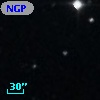 NGPFG 17393