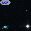 NGPFG 17311
