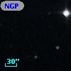 NGPFG 17338