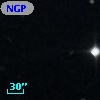 NGPFG 17313