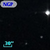 NGPFG 17336