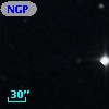 NGPFG 17312