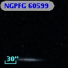NGPFG 60599