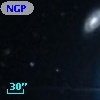 NGPFG 16899