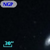NGPFG 16871